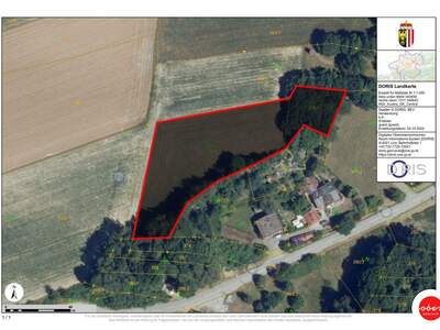 Gewerbeobjekt kaufen in 4941 Mehrnbach (Bild 5)