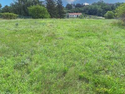 Grundstück kaufen in 2292 Engelhartstetten