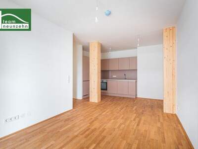 Terrassenwohnung mieten in 1030 Wien (Bild 3)