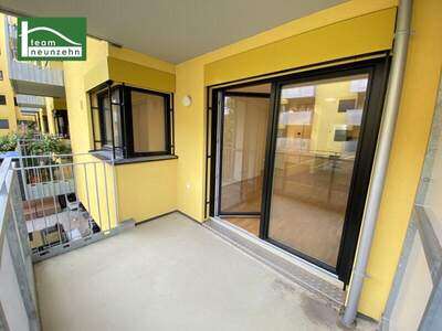 Terrassenwohnung mieten in 1210 Wien (Bild 5)