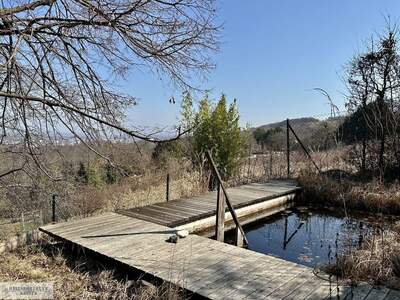 Grundstück kaufen in 2340 Mödling (Bild 1)