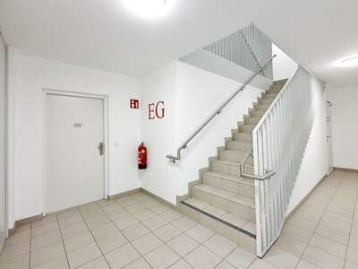 Haus kaufen in 1230 Wien (Bild 5)