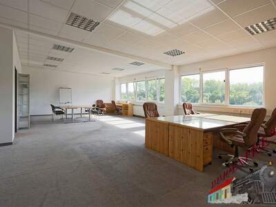 Büro / Praxis mieten in 2471 Pachfurth (Bild 2)