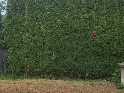 Grundstück kaufen in 8041 Graz