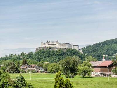 Wohnung kaufen in 5020 Salzburg