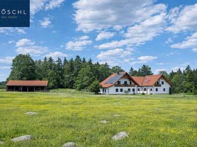 Haus kaufen in 3860 Heidenreichstein