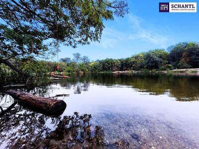 Terrassenwohnung kaufen in 1220 Wien (Bild 5)