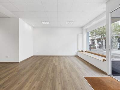 Gewerbeobjekt mieten in 2700 Wiener Neustadt (Bild 2)