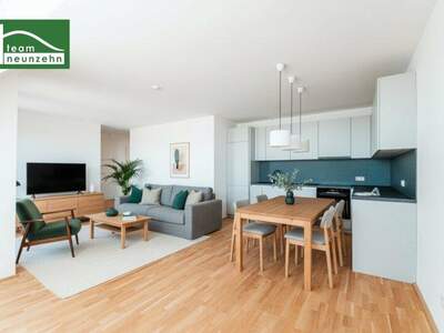 Terrassenwohnung kaufen in 1220 Wien (Bild 4)