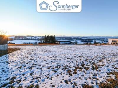 Grundstück kaufen in 4501 Neuhofen (Bild 2)