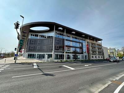 Gewerbeobjekt mieten in 2351 Wiener Neudorf (Bild 1)