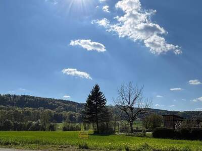 Grundstück provisionsfrei kaufen in 4864 Abtsdorf