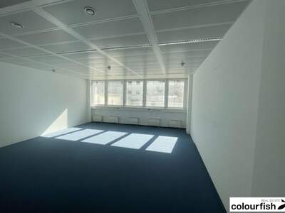 Gewerbeobjekt mieten in 1020 Wien (Bild 4)