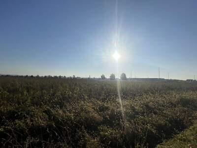 Grundstück kaufen in 8054 Seiersberg (Bild 5)