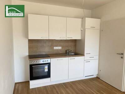 Terrassenwohnung mieten in 8020 Graz (Bild 2)