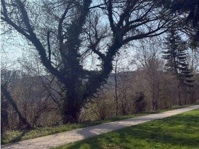 Einfamilienhaus kaufen in 4048 Puchenau (Bild 1)