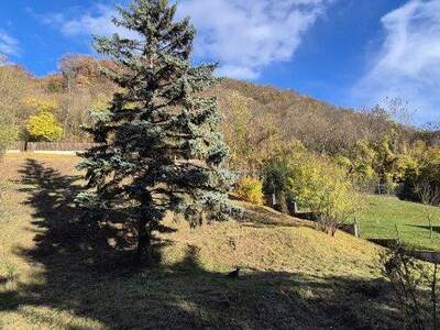 Haus kaufen in 2103 Langenzersdorf (Bild 2)