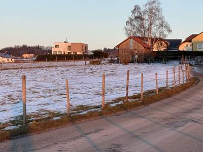 Grundstück kaufen in 4223 Weidegut (Bild 3)