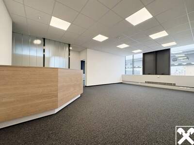 Gewerbeobjekt mieten in 4600 Wels (Bild 1)