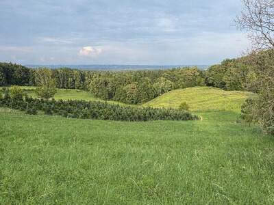 Grundstück provisionsfrei kaufen in 8434 Maxlon