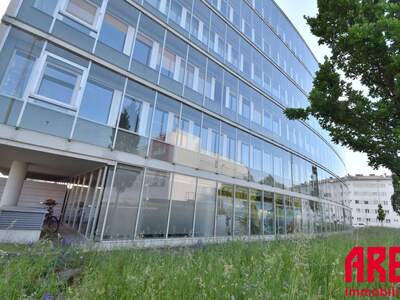 Gewerbeobjekt mieten in 4040 Linz (Bild 3)