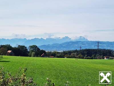 Anlageobjekt kaufen in 6914 Hohenweiler