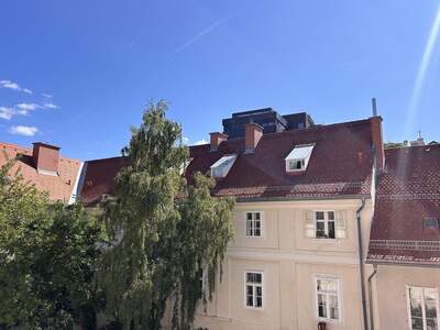Altbauwohnung kaufen in 8020 Graz (Bild 1)