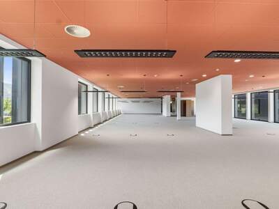 Gewerbeobjekt mieten in 6922 Wolfurt (Bild 3)