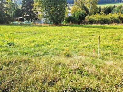 Grundstück kaufen in 8102 Semriach