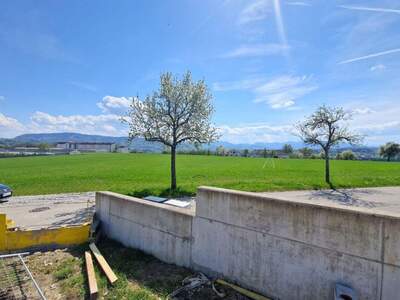 Haus mit Garten kaufen in 4400 Steyr (Bild 1)
