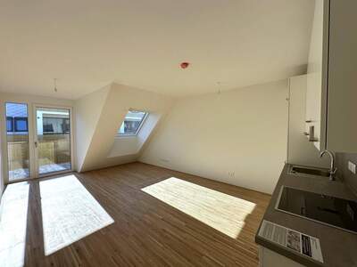 Anlageobjekt kaufen in 1220 Wien