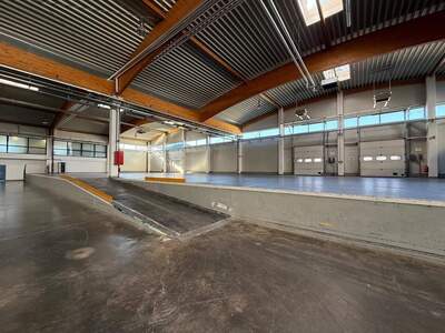 Gewerbeobjekt kaufen in 7011 Siegendorf
