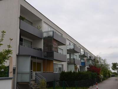 Wohnung mit Balkon mieten in 7100 Neusiedl (Bild 3)