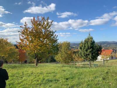 Grundstück kaufen in 7435 Unterkohlstätten (Bild 3)