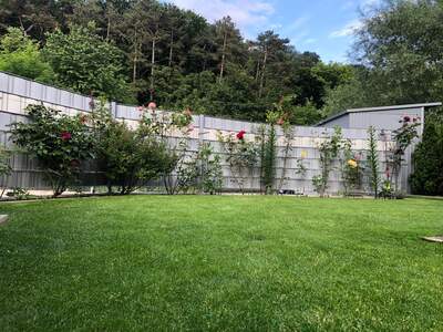 Terrassenwohnung kaufen in 3002 Purkersdorf (Bild 2)