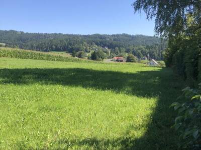 Grundstück kaufen in 8045 Weinitzen (Bild 4)