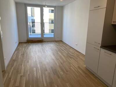 Wohnung mieten in 1220 Wien