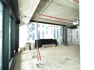 Gewerbeobjekt mieten in 1220 Wien (Bild 4)