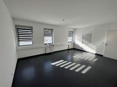 Gewerbeobjekt mieten in 8330 Feldbach (Bild 3)