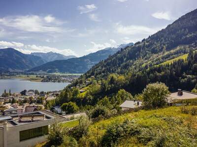 Office / Business kaufen in 5700 Salzburg