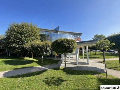 Gewerbeobjekt mieten in 2320 Schwechat (Bild 1)