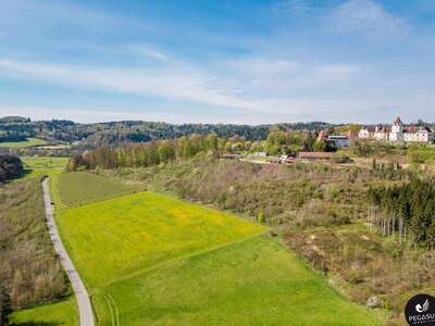 Gewerbeobjekt kaufen in 8333 Riegersburg (Bild 1)