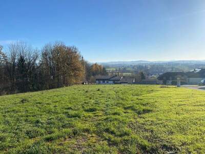 Grundstück kaufen in 4911 Tumeltsham