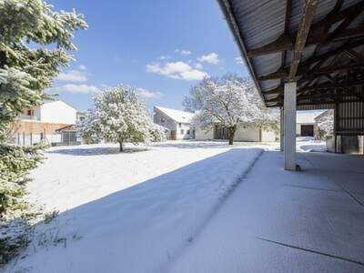 Gewerbeobjekt kaufen in 2431 Enzersdorf (Bild 5)