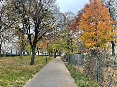 Eigentumswohnung in 1010 Wien (Bild 5)