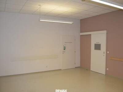 Gewerbeobjekt mieten in 3506 Hollenburg (Bild 2)