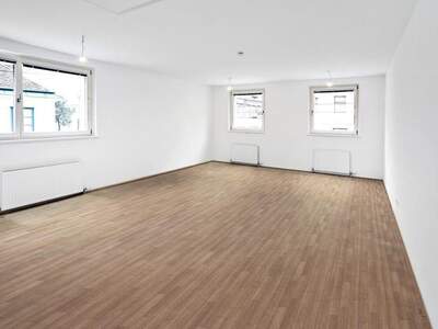 Gewerbeobjekt mieten in 1090 Wien (Bild 3)