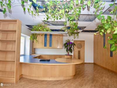 Gewerbeobjekt mieten in 3374 Ybbs