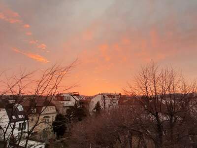 Altbauwohnung mieten in 1190 Wien (Bild 1)