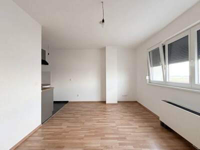 Wohnung mieten in 1140 Wien